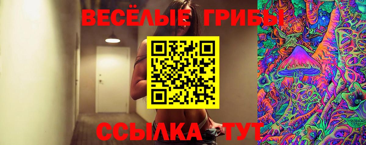 купить   Галлюциногенные грибы мицелий  Вход с VPN  Рыбинск 