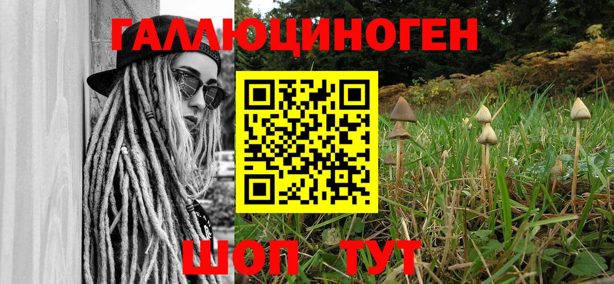 Псилоцибиновые грибы Psilocybine cubensis Рыбинск